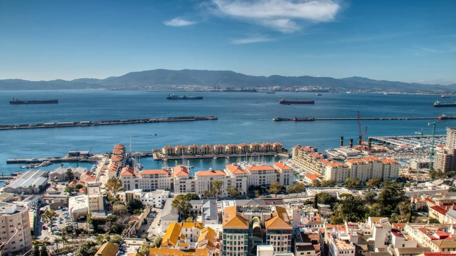 Marketing B2B para empresas logísticas: cómo destacar en el Puerto de Algeciras